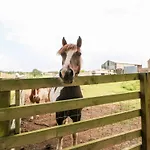The Barn *